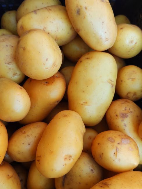 Destaques em Hortifruti