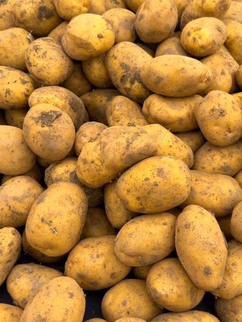 Açougue