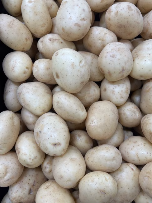 Cebola Nacional (kg)